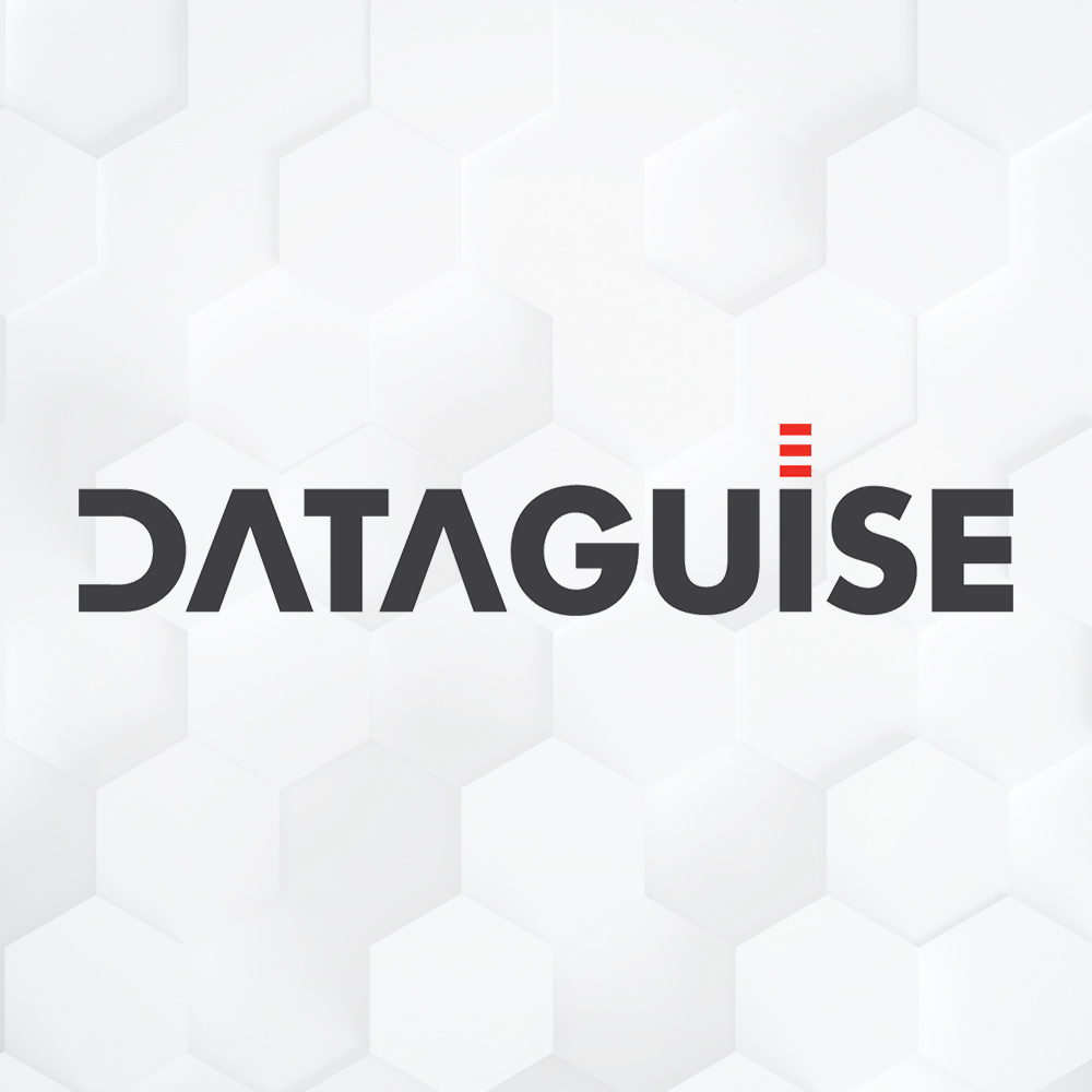 grey Dataguise text logo with 3 red bars for the dot on the I on a white hexagon background