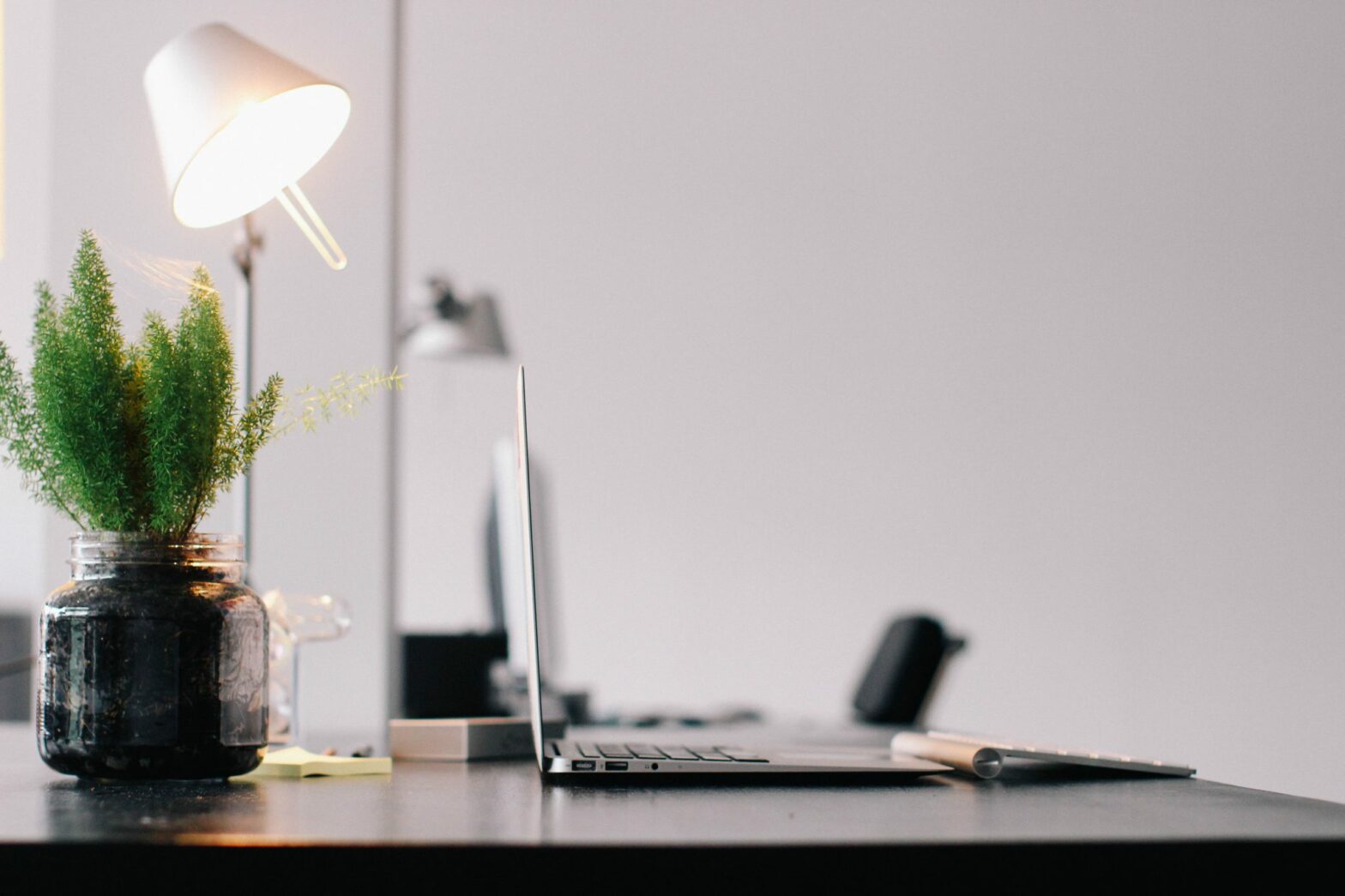 computer on desktop with plant and light in white room