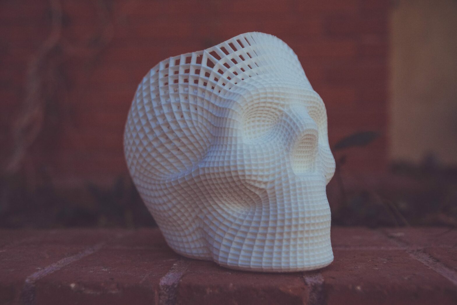 white 3D printed skull