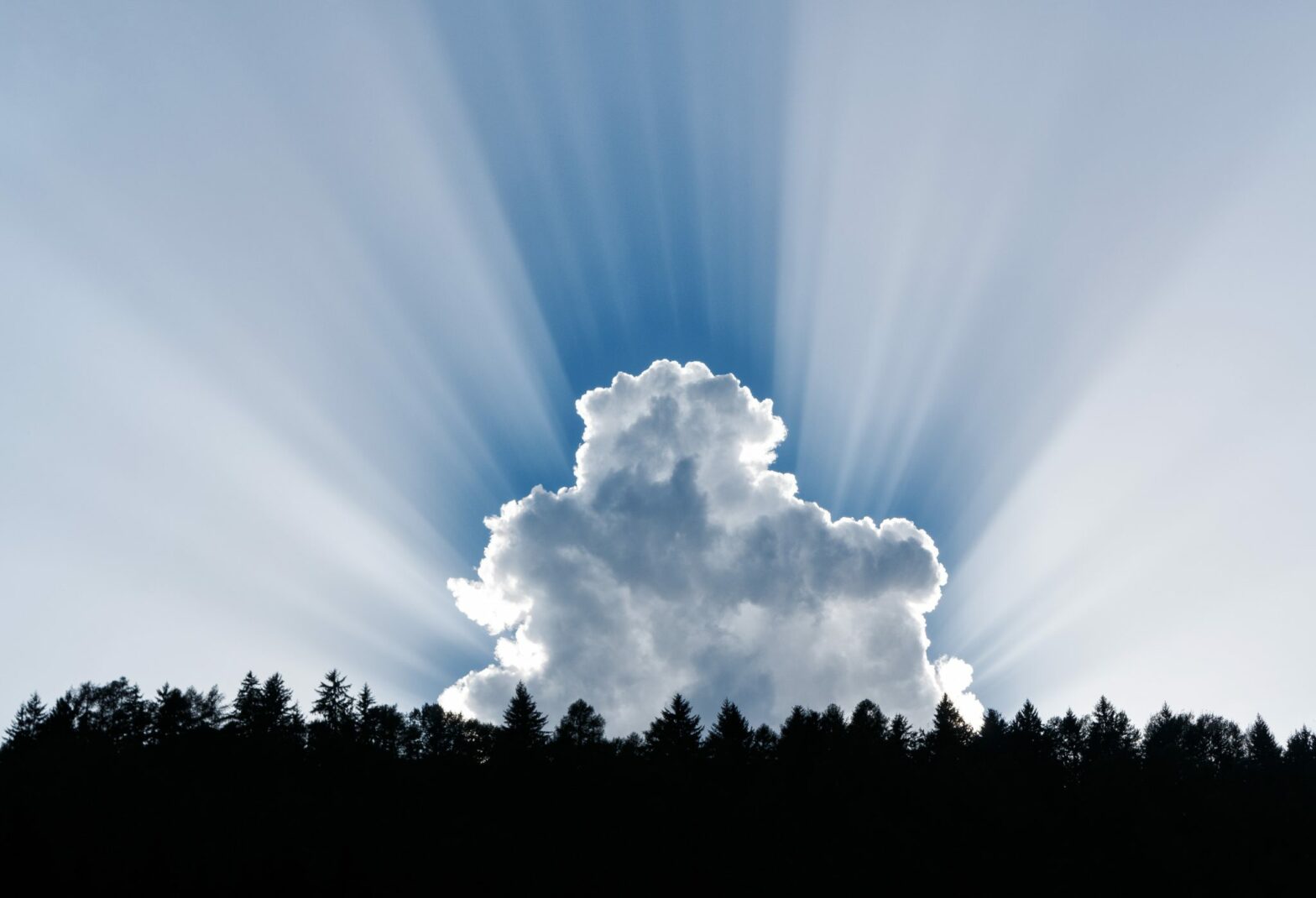 sky above treeline showing cloud and suburst