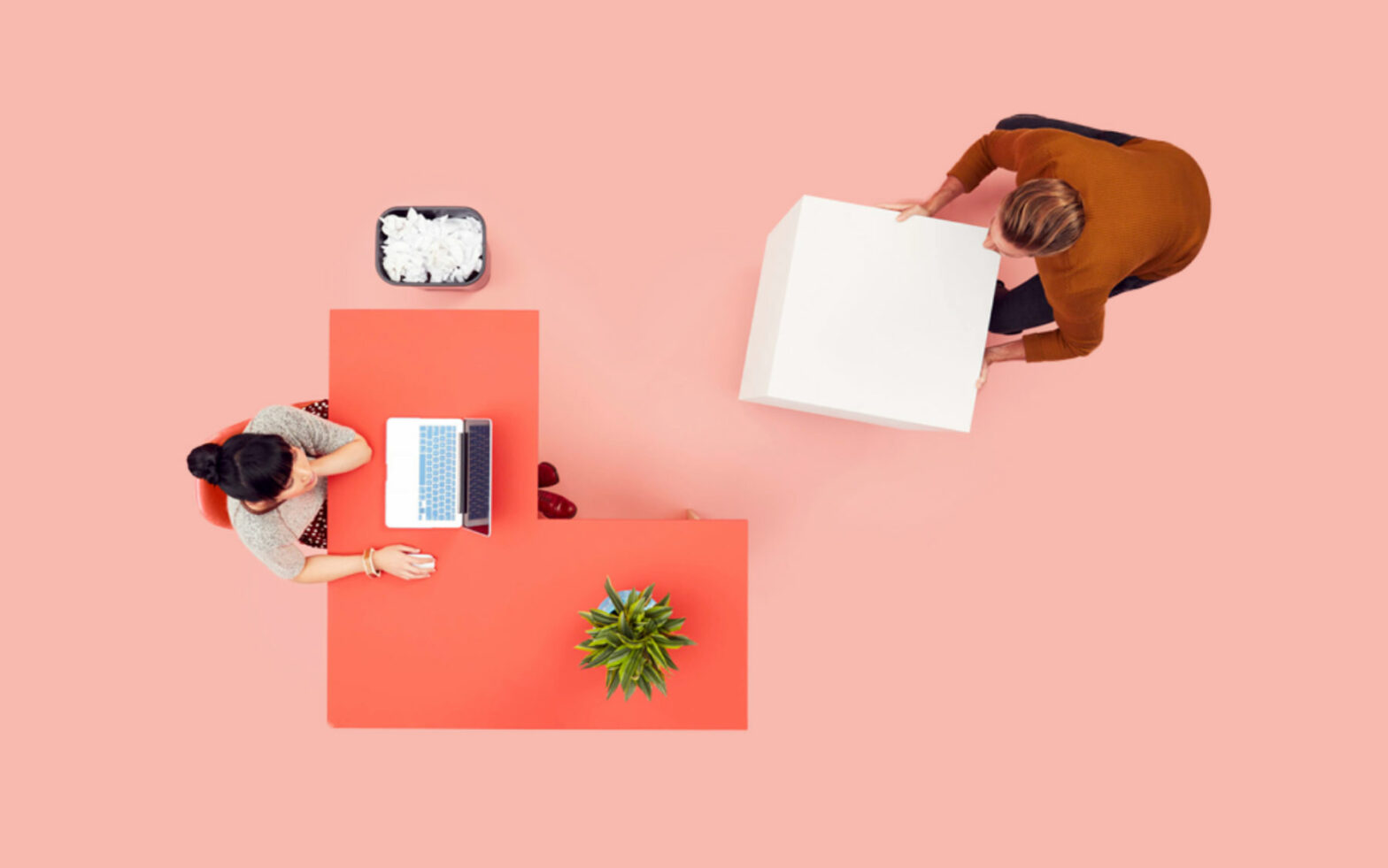 Woman sitting at desk with computer, plant being delivered a large white box