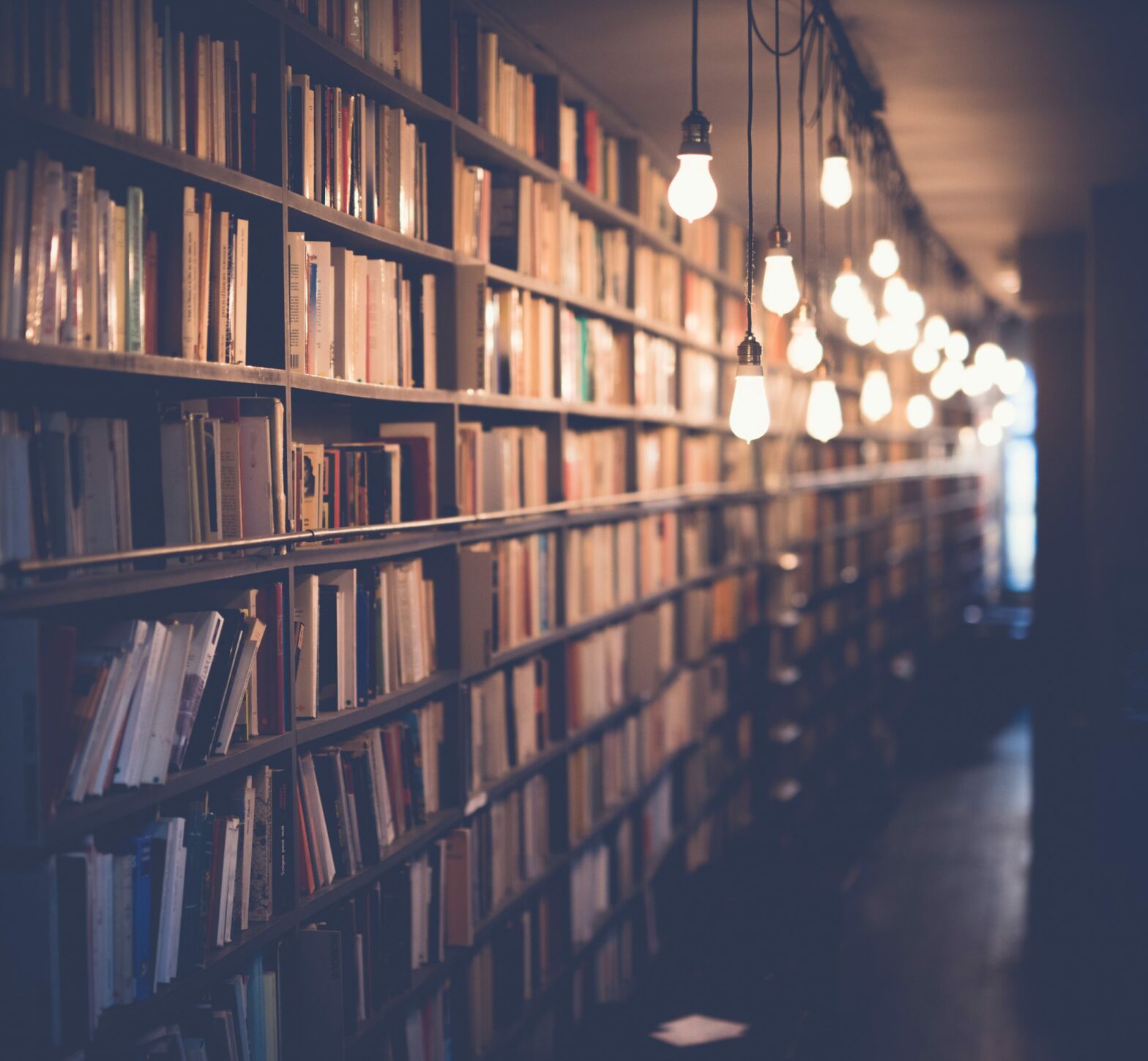 Hanging bespoke lights with hallway of books